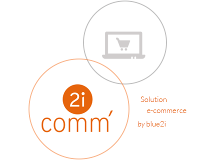 Création de site ecommerce 2icomm Site ecommerce 2icomm