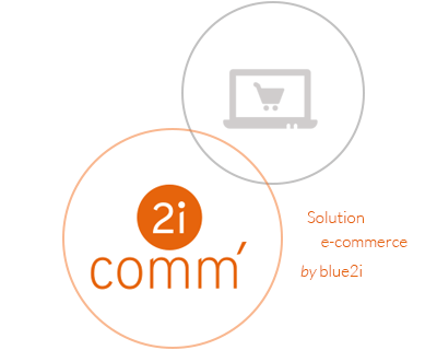 Site ecommerce 2icomm