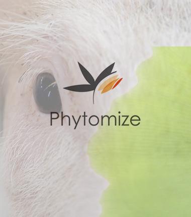 site phytothérapie et santé animale