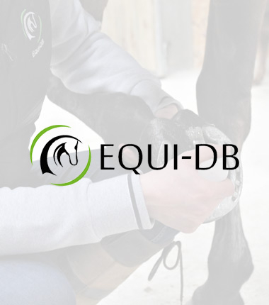 boutique equidb