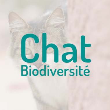 Création d'un site drupal Chat biodiversité